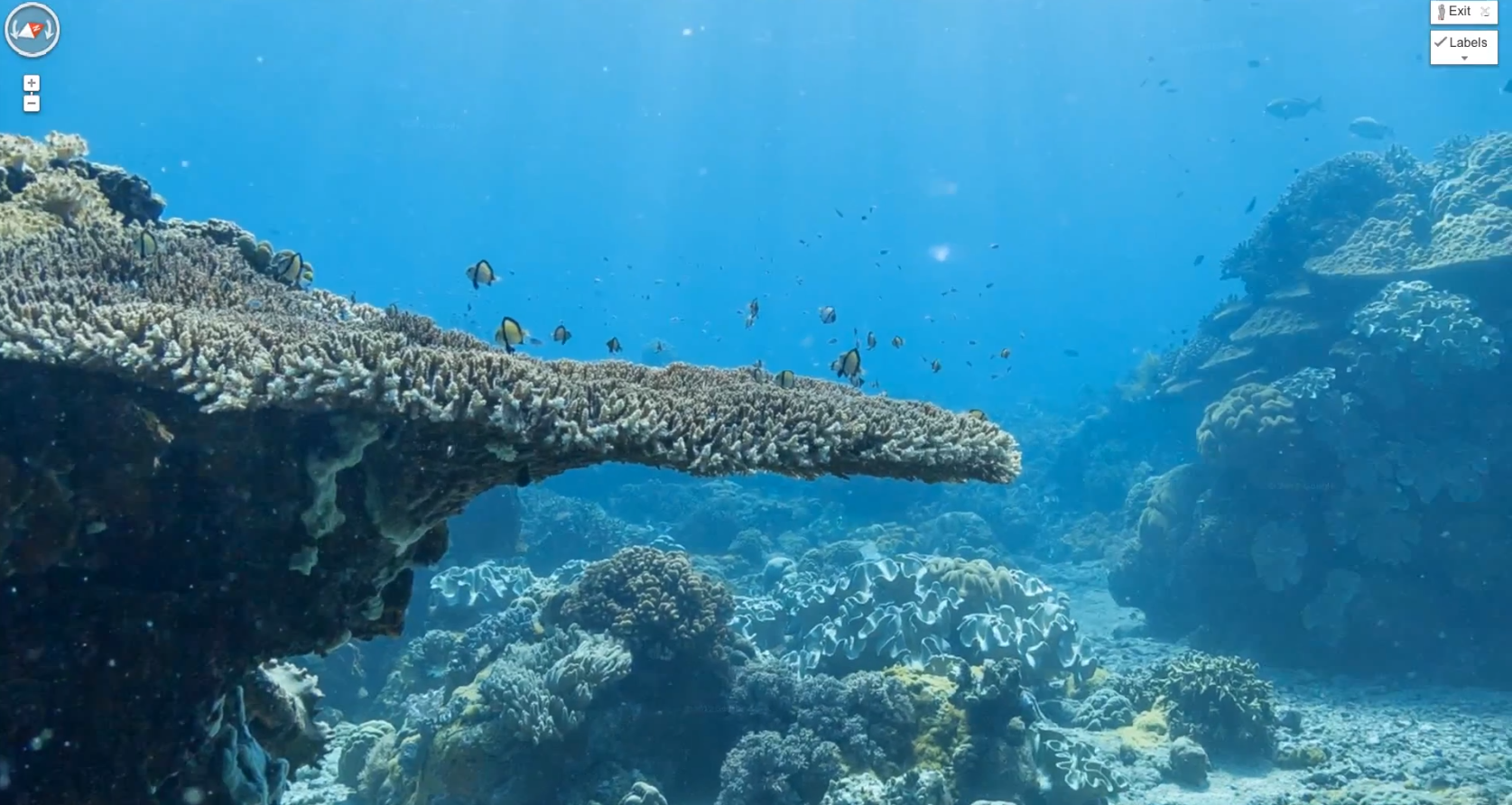 Just nu går det att utforska korallrev i Australien, Filippinerna och Hawaii.